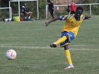 Kingfishers are spot on to go through in Welsh Cup