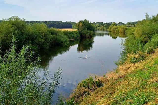 Wye pollution not just down to poultry farms, claims report