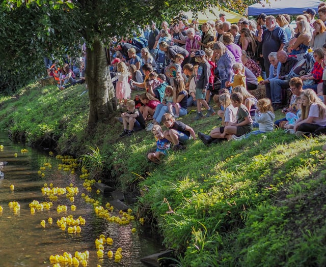Canopy offers arts workshops at Blakeney Duck Race