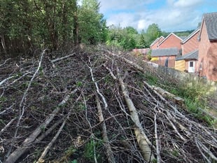 FoD Council appeals for tree-felling information 