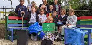 Schools urged to apply for second year of Forest Eco-Schools funding 