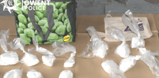 Gwent Police seize drugs worth £400,000 in early morning raids 