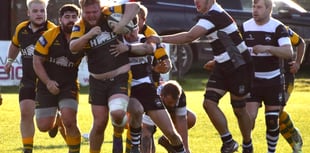 Green Army shoot down Ledbury in six-try show
