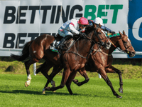 Tudor takes Welsh Jump Jockeys Derby