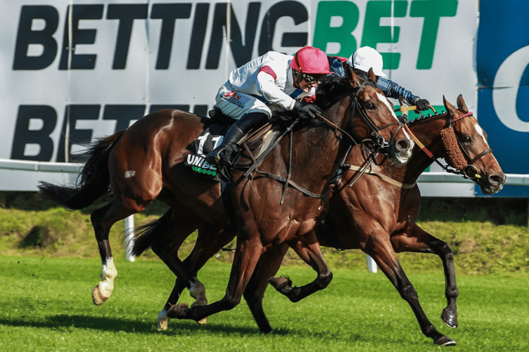 Pachacuti holds off Lusaka in the Welsh Jump Jockeys' Derby at Chepstow. Photo: Chepstow Racecourse