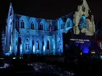 
Tintern Abbey transformed by shadow and light! 
