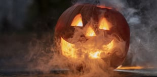 Half term activities return to Ross this October.