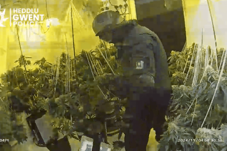 Police found cannabis being grown on five floors in commercial premises in Chepstow High Street 