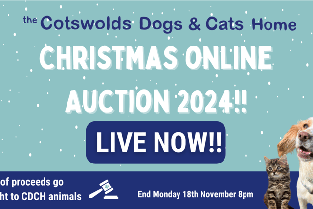 Last chance for Cotswolds Dogs and Cats Home Christmas auction