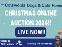 Last chance for Cotswolds Dogs and Cats Home Christmas auction