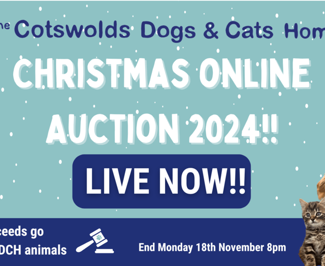 Last chance for Cotswolds Dogs and Cats Home Christmas auction
