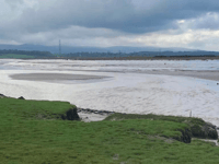 Scrapping fish protection could be "ecological disaster" for Estuary