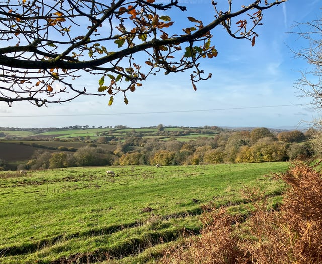 Forestry England buys farmland in the Forest of Dean 

