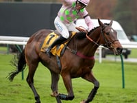 Royale Pagaille bids for National glory after L'Homme Press exit