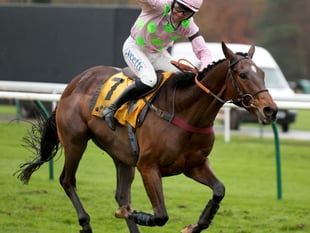 Royale Pagaille bids for National glory after L'Homme Press exit