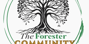 Live: Coverage of the Forester Community Hero awards from Cinderford