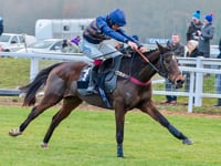 Djelo storms home to 'Boro Chase