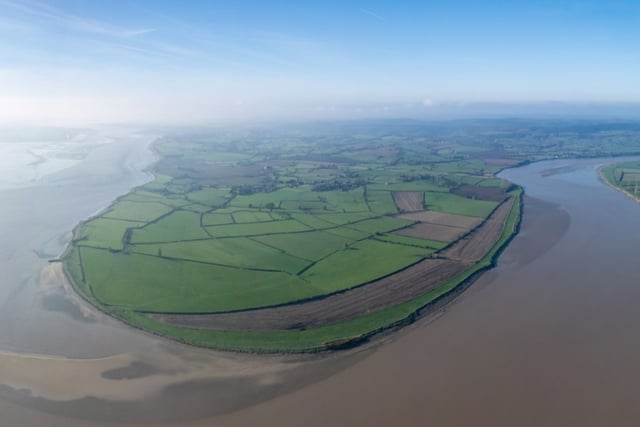 Plans for saltmarsh at
Awre are announced