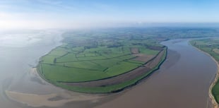 Plans for saltmarsh at Awre announced
