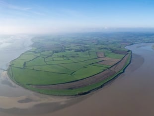 Plans for saltmarsh at Awre announced