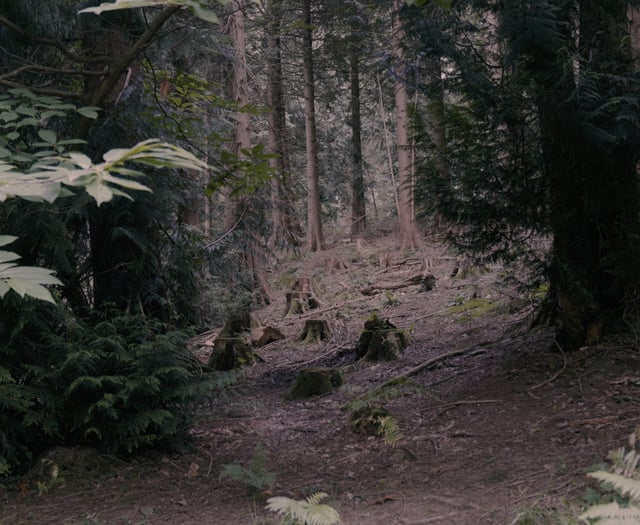 'Common Ground' to screen in Cinderford 