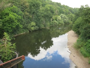 River health meeting reveals mixed results
