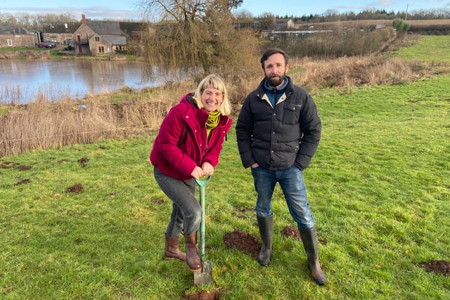  Community Invited to help Forest of Dean farm plant 2000 trees