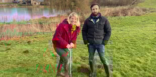  Community Invited to help Forest of Dean farm plant 2000 trees
