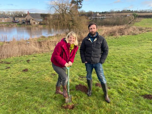 Noxon Farm's tree planting event for farm resilience