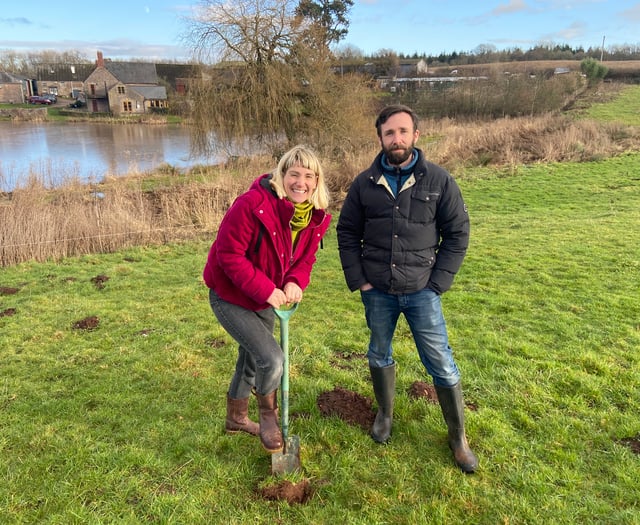  Community Invited to help Forest of Dean farm plant 2000 trees