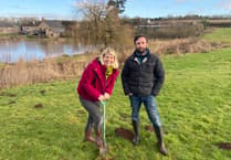 Tree planting boosts farm resilience at Noxon Farm
