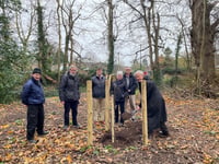 Tree planting celebrates 
beekeepers' anniversary