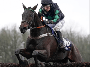Iwilldoit finishes brave second in Haydock showcase