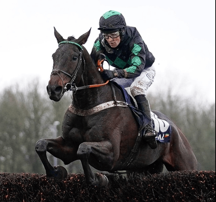 Everyone's hoping Iwilldoit can do it at the Cheltenham Festival