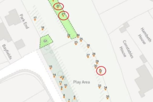 Work approved on diseased trees at Dymock playground