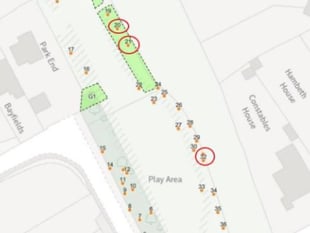 Work approved on diseased trees at Dymock playground