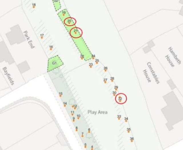 Work approved on diseased trees at Dymock playground