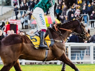L'Homme Presse presses Gold Cup credentials