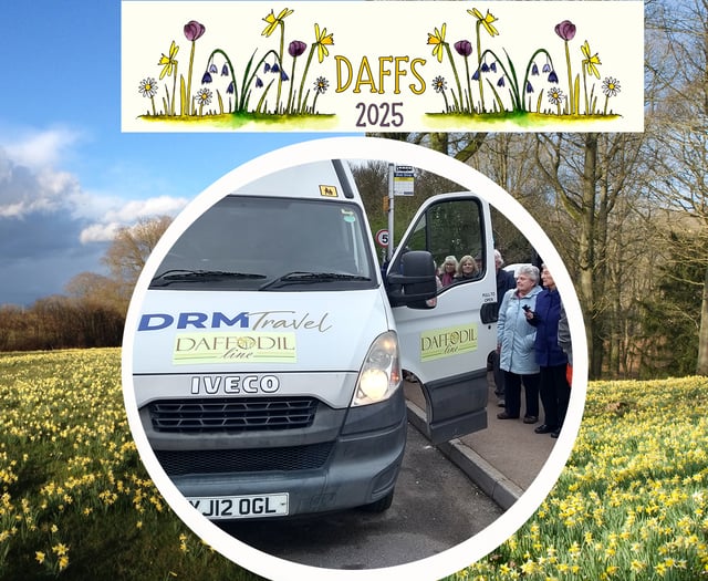 Daffodil Line bus service to visit the area's Golden Triangle 