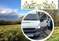 Daffodil Line bus service to visit the area's Golden Triangle