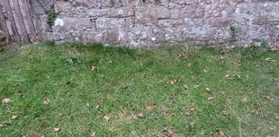 Vandals target
ancient church