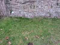 Vandals target
ancient church
