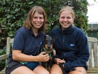 Puppy love: Yoko re-homed on Valentine’s Day after nearly 4 years