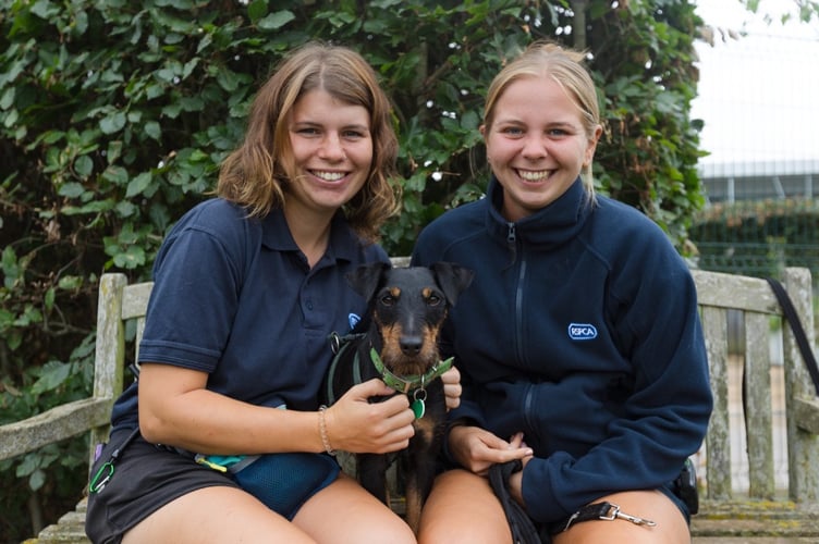 Cotswolds Dogs & Cats Home