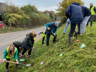 Dymock Daffodil Weekend starts Golden March festival