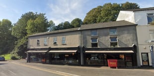 Garden centre and food hall plans for town centre?