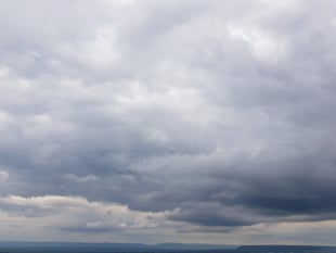 Mild day with partly cloudy skies and patchy rain nearby tomorrow