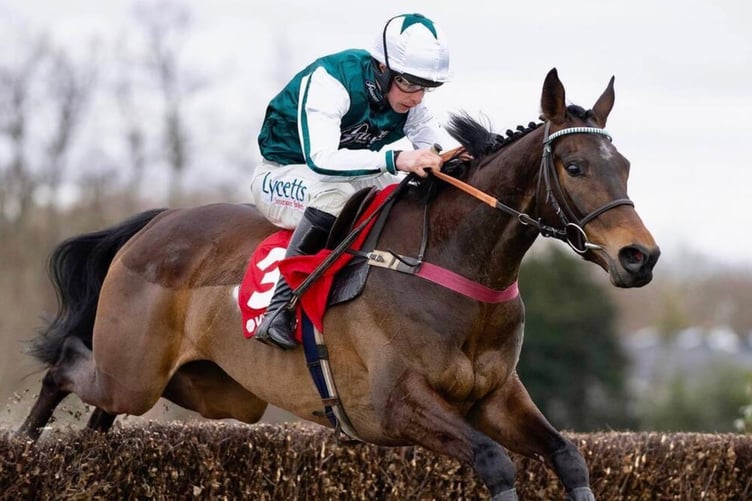 L'Homme Presse is out of the Gold Cup but may race the Grand National