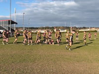Lucklustre Cinderford stung by Hornets