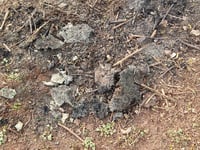 Concerns grow over Bathurst Park fires